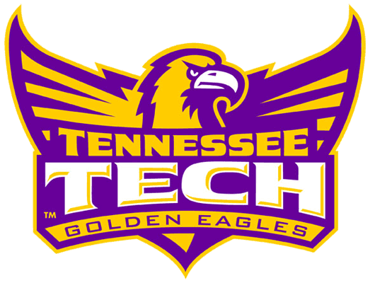 Tennessee Tech Golden Eagles 2006-Pres Alternate Logo t shirts DIY iron ons v5